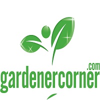 What is microcement? Uses, Application and Advantages - Gardener Corner